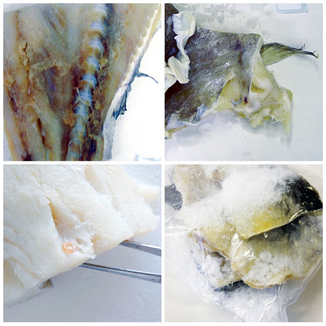 O aspeto queimado pelo frio e as manchas amarelas ou castanhas são maus indicadores.